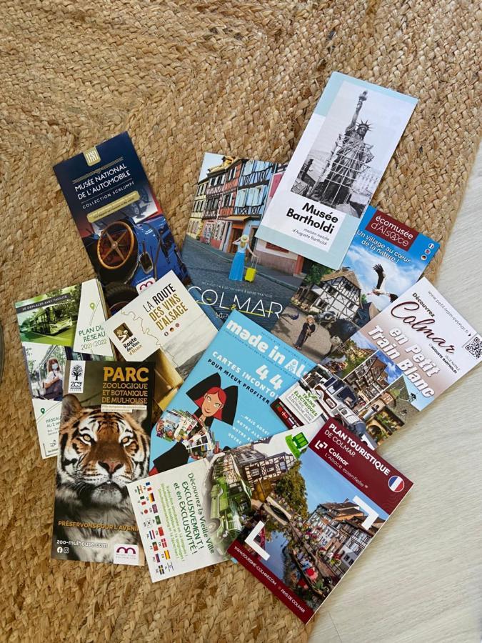 شقة Chez Orely Horbourg المظهر الخارجي الصورة